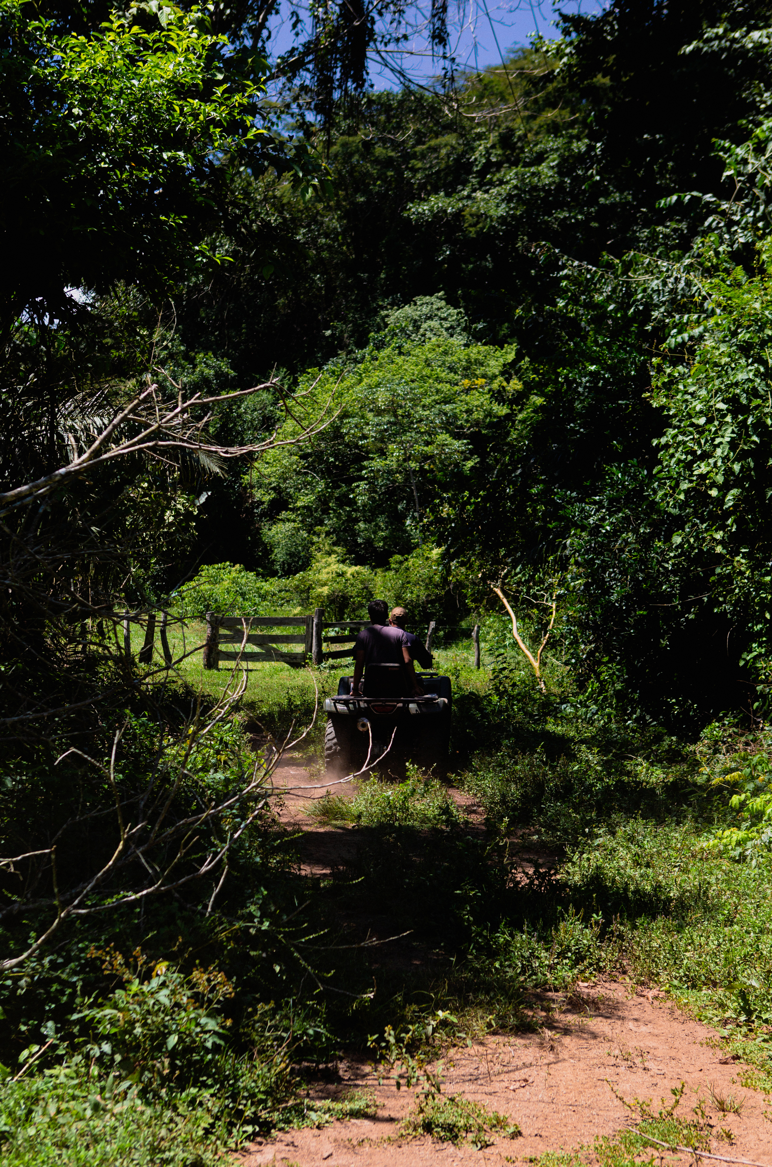 Off Road 04